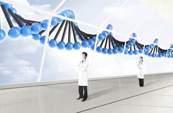 廣東凈化工程可以分為哪幾類